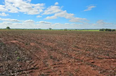 Fazenda para venda na região de presidente prudente-sp com 60 alqueires sendo 50 alqueires agricultáveis para cana, soja, algodão e etc