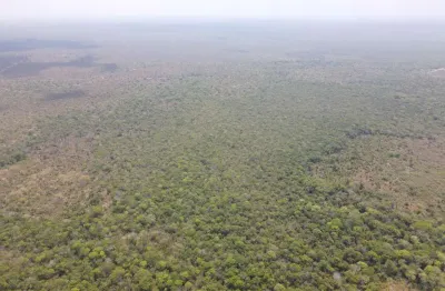 Fazenda para venda na região de nova nazare-mt com 836 alqueires na pecuária, boa de benfeitorias, boa de agua