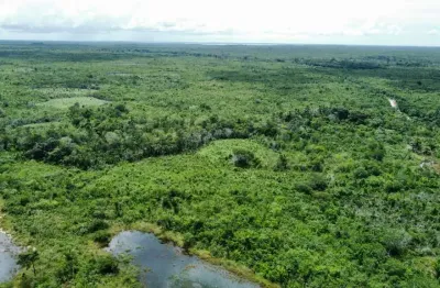 Fazenda para venda na região de humberto de campos-ma com 12.500 hectares sendo 10.000 hectares consolidados, restante app e reserva