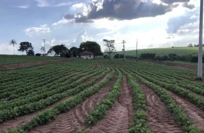 Ótimo sitio para venda na região de taquaritinga-sp com 10,5 alqueires, aproveitamento lavoura 90%, bom de agua, benfeitorias