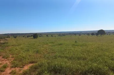 Fazenda para venda na região de ribas do rio pardo-ms com 493 alqueires montada na pecuária, rica em agua e ótima localização