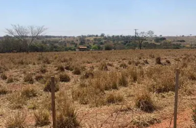 Fazenda dupla aptidão para venda na região de pereira barreto-sp com 82 alqueires, em seringueira e pastagem, pode plantar 58 alqueires em cana, beira