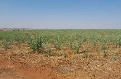 Fazenda para venda na região de jales-sp com 40 alqueires sendo 30 alqueires em cana arrendada