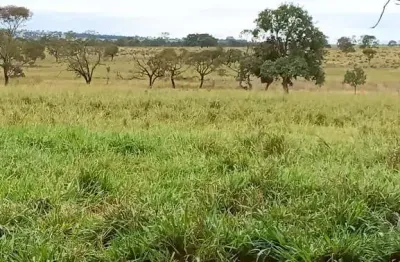 Fazenda dupla aptidao para venda na região de cassilandia-ms com 112 alqueires, benfeitorias, rica em agua, região de muita chuva