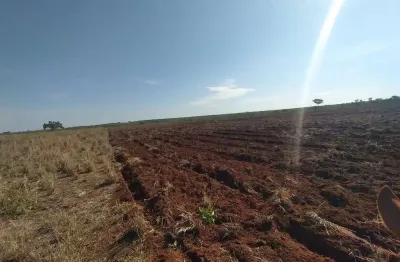 Fazenda para venda na região de querencia-mt com 760 hectares sendo 600 hectares abertos em pastagem, boa de agua e benfeitorias
