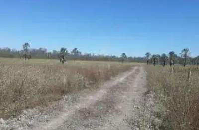 Fazenda para venda em cotegipe-ba com 2.500 hectares, terra plana, no aquifero, pode rodar pivô