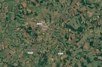 Sitio para venda na região de são jose do rio preto-sp com 7,5 alqueires em amendoim, proximo de varias usinas