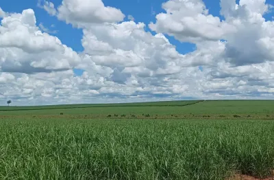 Fazenda para venda na região de andradina-sp com 148 alqueires sendo 124 alqueires em cana arrendada, próxima do asfalto e da usina