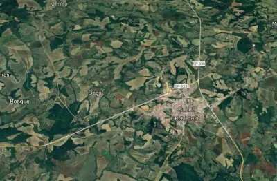 Excelente sitio multipla aptidao para venda na região de ribeirão preto-sp com 30 hectares, granja, cafe e pastagem, ideal tambem para loteamento