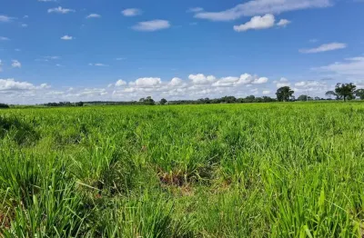 Fazenda dupla aptidao para venda na região de mira estrela-sp com 42 alqueires sendo 38 alqueires agricultáveis, atual na pecuária, com benfeitorias