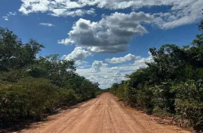 Fazenda bruta para venda na região de santa luz-pi com 5.400 hectares, área de baixao com cerradão, riacho na propriedade