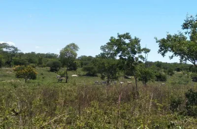 Fazenda dupla aptidão para venda em santa rita de cassia-ba com 520 hectares sendo 400 hectares abertos, beira do asfalto, atual na pecuária
