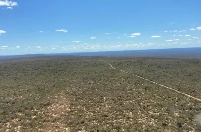 Fazenda bruta grande extensão para venda na região de xique-xique-ba com 140.000 hectares, ideal para lavoura, abundante em agua para irrigação