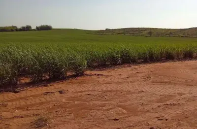 Fazenda dupla aptidão para venda na região de cafelandia-sp com 169 alqueires sendo 128 alqueires em cana arrendada, mais pastagem, benfeitorias, beir