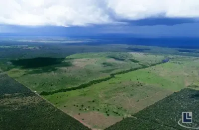 Fazenda dupla aptidao para venda na região de duere-to com 1.339 hectares, excelente logística, benfeitorias, rica em agua, terra preta de cultura
