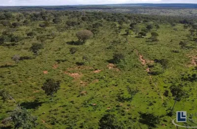 Sitio dupla aptidao para venda em lassance-mg com 75 hectares, ideal para café, benfeitorias e rica em agua