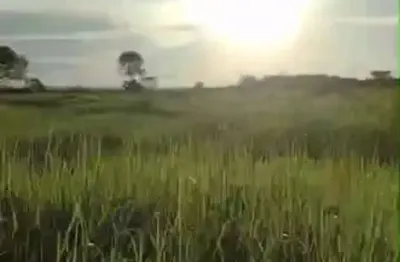 Fazenda dupla aptidao para venda na região de cariri do tocantins-to com 998 hectares, toda aberta, excelente argila e benfeitorias