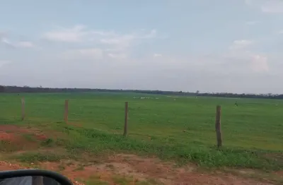 Fazenda para venda na região de são jose do rio claro-mt com 800 hectares na pecuária, muitas benfeitorias, pronta para trabalhar