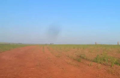 Fazenda para venda na região de araçatuba-sp com 415 alqueires sendo 350 alqueires em cana arrendada, rica em agua, beira da represa, terra de cultura