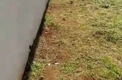 Ótimo terreno de esquina para venda em jardinopolis-sp no jardim das aroeiras, com 222 m2, pronto para construir, terreno plano ja com vizinho