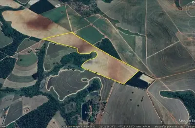 Oportunidade. sítio tripla aptidão para venda em santa rosa de viterbo-sp com 11 alqueires, 100% aproveitável, 2,6 km da cidade, sem benfeitorias