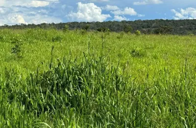 Fazenda para venda na região de primavera do leste-mt com 1.850 hectares, dupla aptidao, boa de agua e benfeitorias
