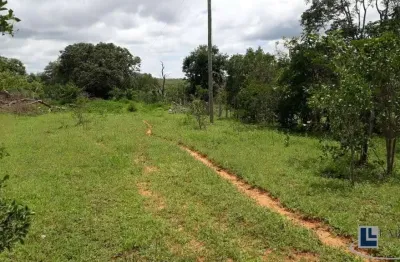 Oportunidade. Fazenda em mata para venda em Januaria-MG, 282 hectares, aptidao para agricultura, pode abrir 80%, ideal também para compensação de RL