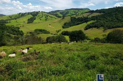 Excelente sitio tripla aptidao para venda em Capitolio-MG, pousada turística, pastagem e café já produzindo, rica em agua