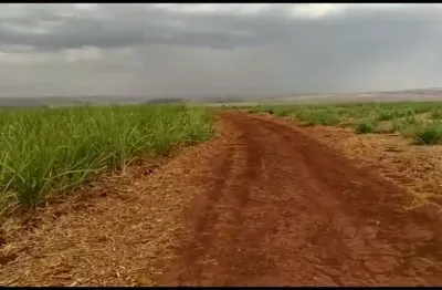 Sitio para venda em igarapava-sp com 13 alqueires sendo 12,5 alqueires em cana,, terra de cultura, proximo de varias usinas
