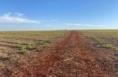 Fazenda para venda na região de pereira barreto-sp com 998 alqueires sendo 900 alqueires em cana arrendada, rica em agua, rio na propriedade.