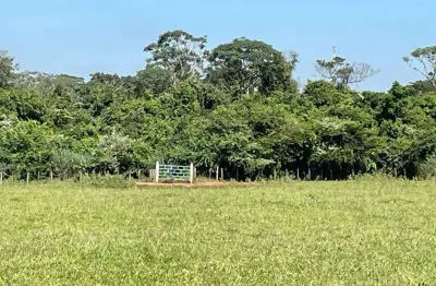 Sitio para venda na região de são jose do rio preto-sp, 25 alqueires montado na pecuária, córrego e represa, casa sede e muitas benfeitorias