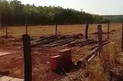 Sitio para venda em barretos-sp, com 20 alqueires sendo 14 alqueires entre pasto e 7 mil pés de seringueira mais benfeitorias