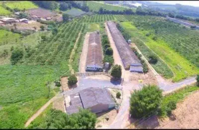 Granja para venda na região de sorocaba-sp, com 7 alqueires, 3 pavilhoes capacidade para 60 mil frangos, infraestrutura completa
