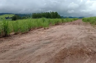Fazenda para venda na região de são carlos-sp, com 85,50 alqueires sendo 54,50 alqueires em cana, mais pastagem