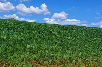 Sitio para venda na região de araxa-mg, com 87 hectares, sendo 50 hectares agricultáveis, benfeitorias, rio na propriedade, altitude café