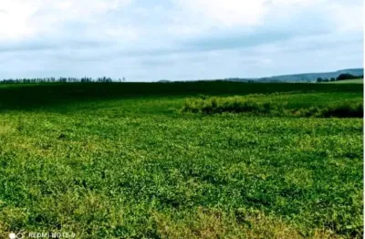 Fazenda para venda na região de bauru-sp, com 132 alqueires, planta 125 alqueires, 1 km do asfalto, ótima localização
