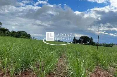 Sitio para venda na região de são carlos-sp, com 10 alqueires sendo 8 alqueires em cana arrendada mais pasto, casa simples, terra massape