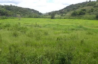 Excelente fazenda tripla aptidão para venda na região de teofilo otoni-mg, com 420 hectares, abundante em agua, pastagem, estrutura completa, porteira
