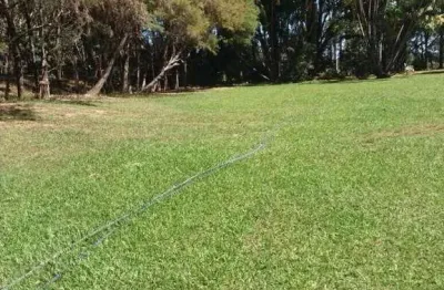 Sitio para venda na região de campo alegre de goias-go, com 4,5 alqueirao go, ótima casa sede, poço artesiano alta vazão, rica em agua