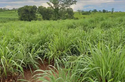 Ótima fazenda para venda na região de monte alegre de goias -go, com 2.600 hectares, montada pecuária, muita agua e benfeitorias