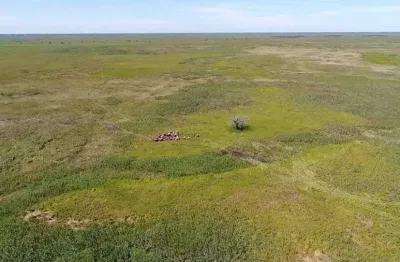 Fazenda na pecuaria para venda no pantanal na região de caceres-mt com 87.000 hectares, rica em agua e muitas benfeitorias