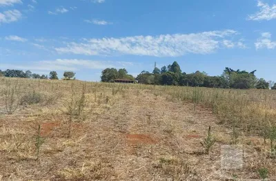 Sitio para venda em santo antonio da alegria-sp, com 9,97 alqueires, planta 8 alqueires, casa sede, de funcionários, barracão e minas de agua