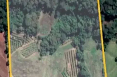 Sitio para venda em fernando prestes-sp, com 8 alqueires planta 6,5 alqueires, atualmente vários pés de frutas, sem benfeitorias