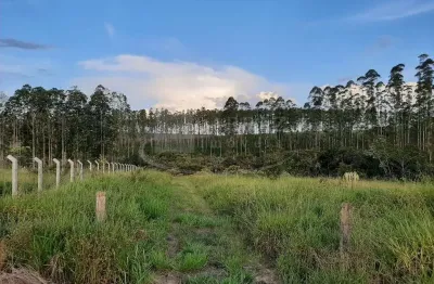 Excelente fazenda para venda em altinopolis-sp, com 49 alqueires, cana e eucalipto, sem benfeitorias, muito boa de agua, rio sapucai