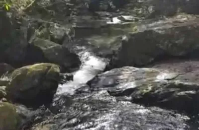 Excelente sitio para venda em delfinopolis-mg, na serra da canastra, com 21 alqueires, rios, nascentes e cachoeiras na propriedade