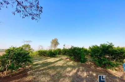 Excelente sitio múltipla aptidão para venda na regiao de jaboticabal-sp, com 8,20 alqueires sendo 6 alqueires para lavoura, bom de agua, corrego na pr
