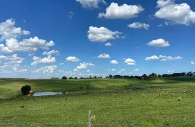 Fazenda para venda na região de tupa-sp, com 130 alqueires na pecuária, beira rodovia, ótima em benfeitorias, pode plantar 75%
