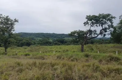 Sitio para venda em ituverava-sp, com 2,34 alqueires na beira da rodovia, area ideal para grandes empresas, transportadoras ou usina solar