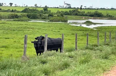 Fazenda dupla aptidão para venda na região de araguaina-to, com 17.000 hectares sendo 11.000 abertos, muitas benfeitorias