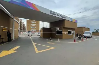 Apartamento com 2 quartos para alugar na Vila Nova Bonsucesso, Guarulhos 